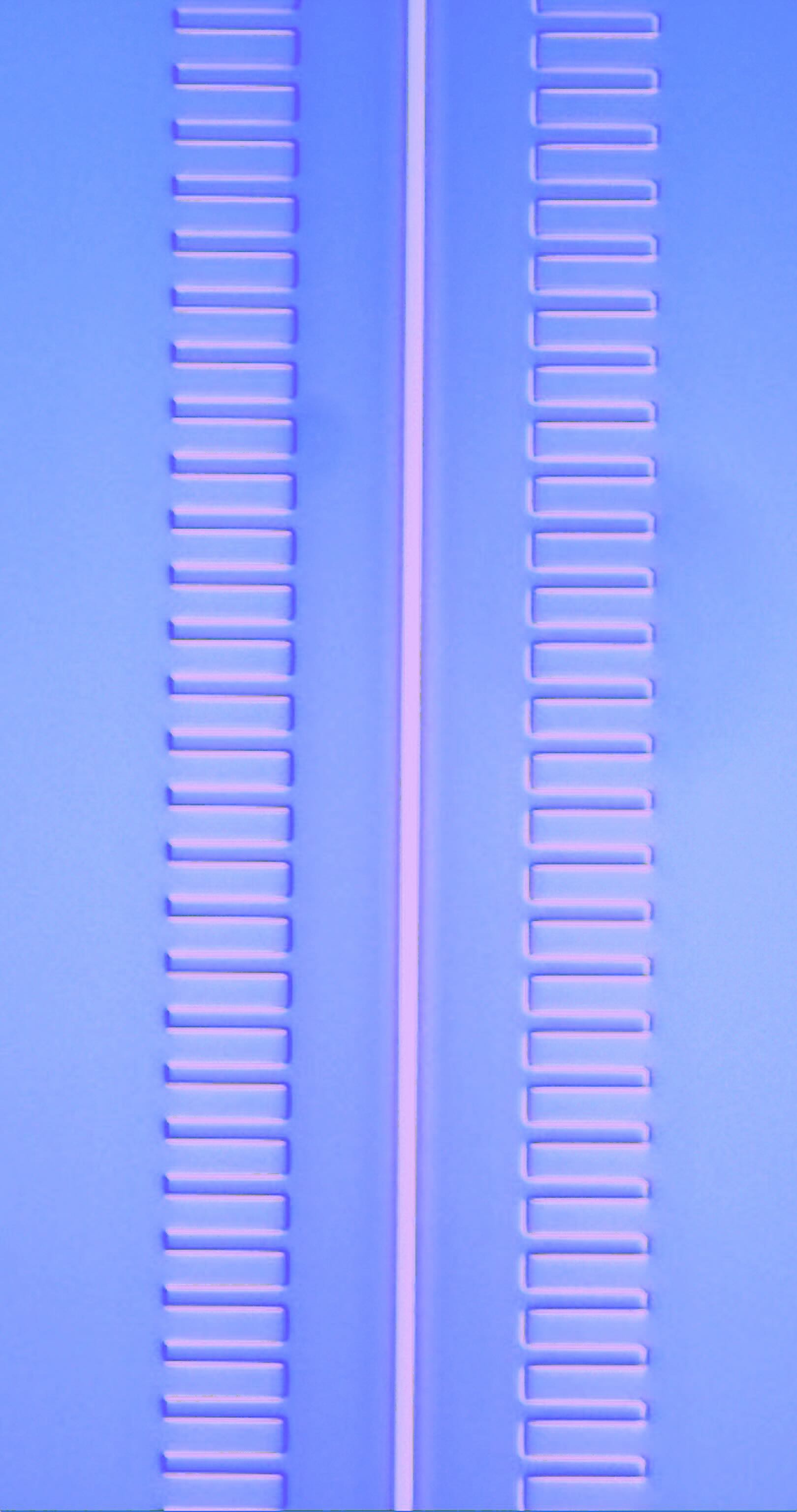 PPLN 1
