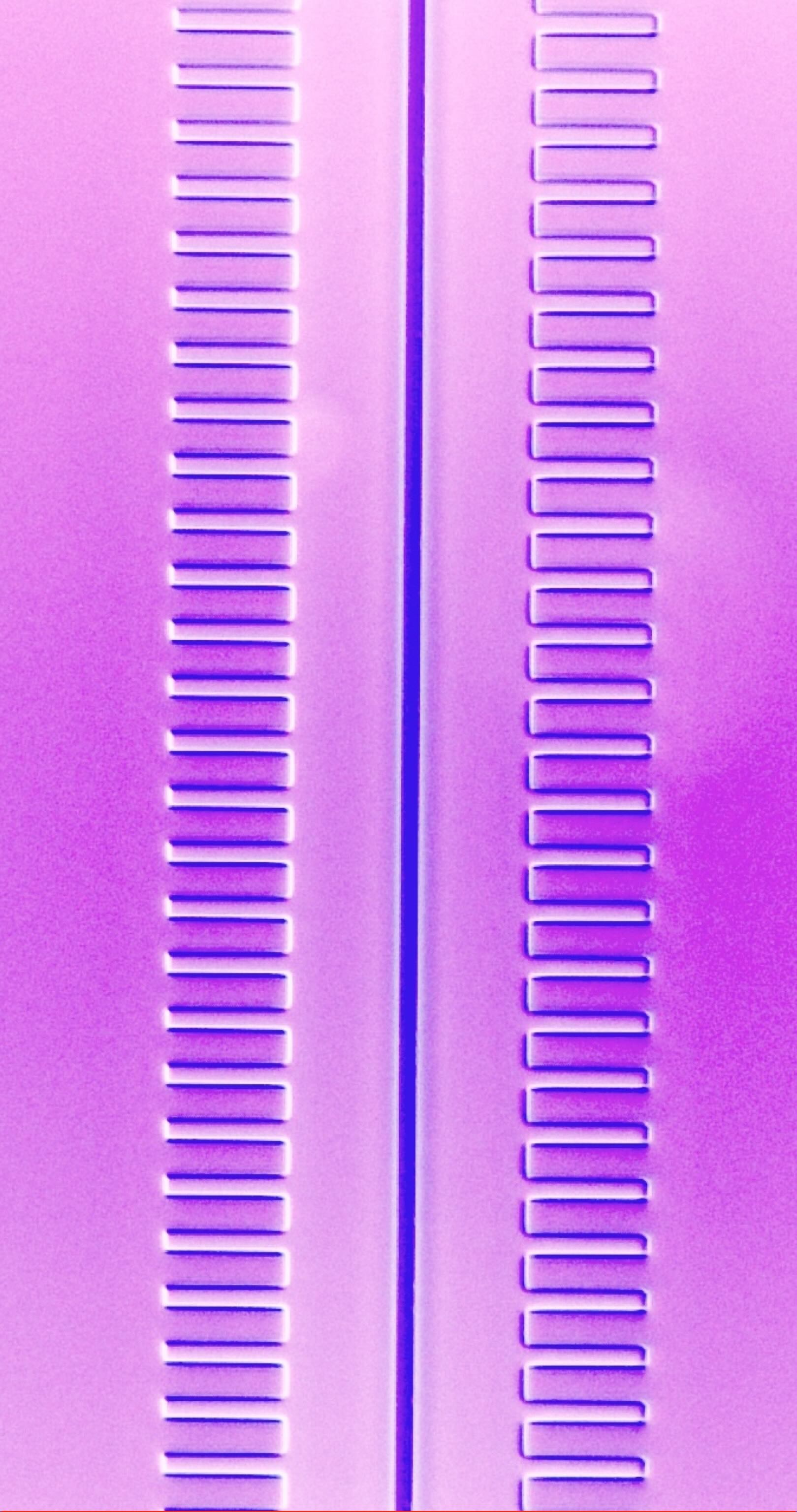 PPLN 2